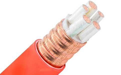 <a href='http://www.molniya.cn/kuangwuzhidianlan/' target='_blank'><u>礦物質(zhì)電纜</u></a>
