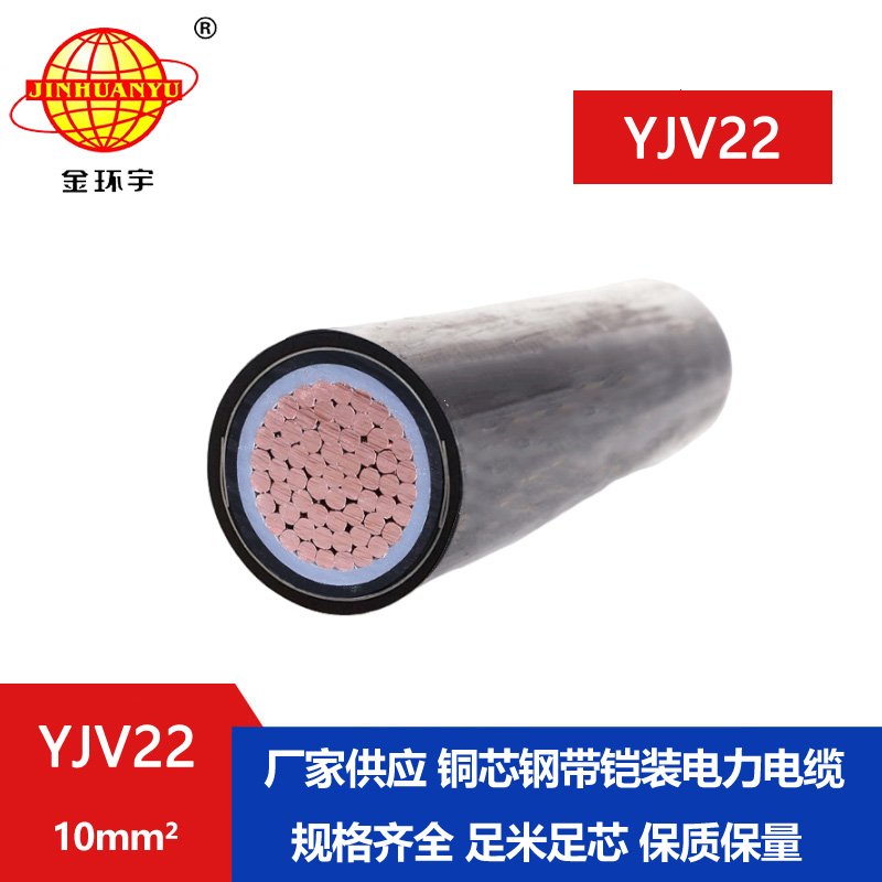 金環(huán)宇電線(xiàn)電纜 銅芯 鎧裝電纜 YJV22-10平方 單芯