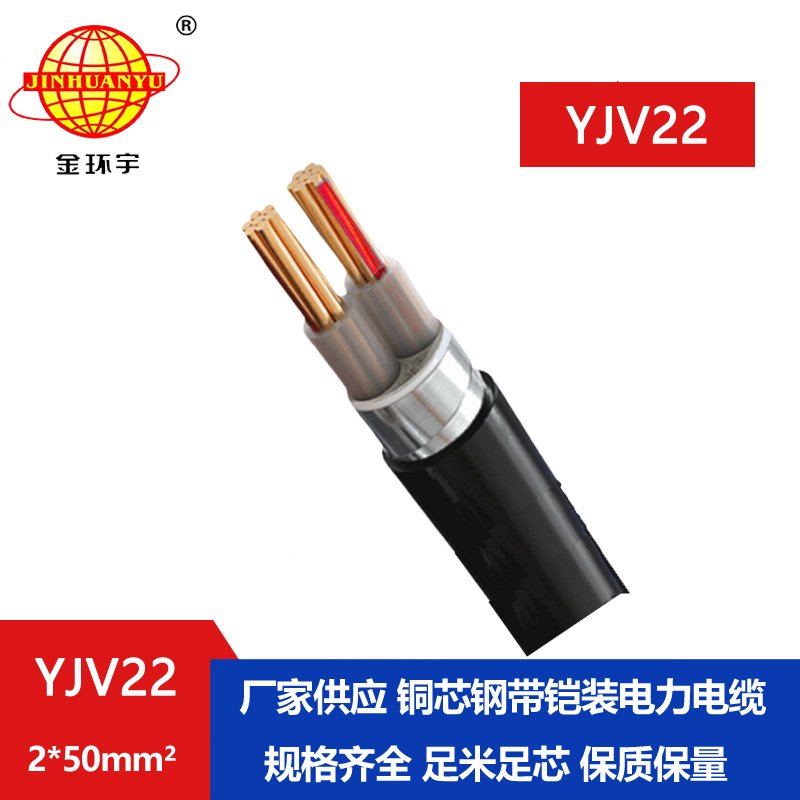 金環(huán)宇電線電纜 YJV22 2X50平方 鎧裝電纜 低壓交聯
